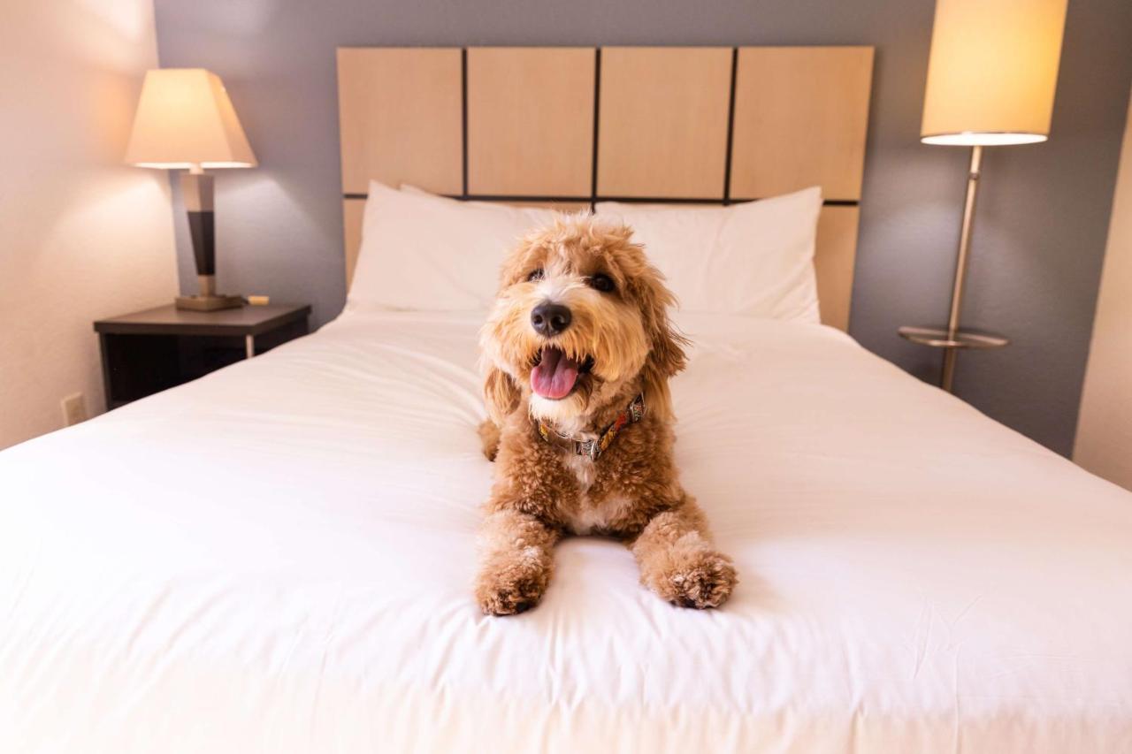 โซเนสตา ซิมพลี สวีท เคลียร์วอเตอร์ Hotel ภายนอก รูปภาพ